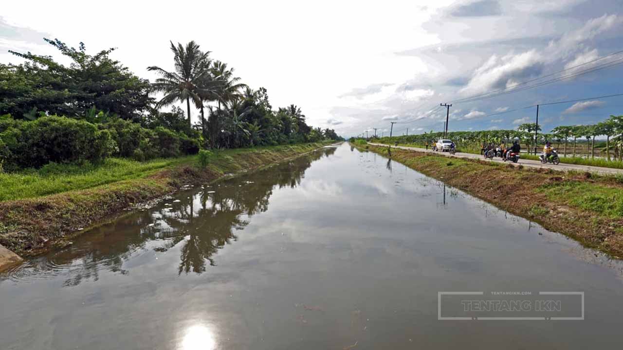 Daerah Irigasi Rawa Sebakung Pilar Ketahanan Pangan di Kalimantan Timur