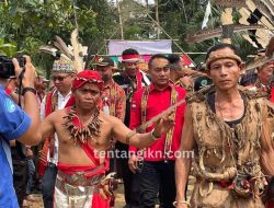 Filosofi Hidup Masyarakat Kalimantan: Tradisi, Alam, dan Kebersamaan