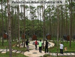 Upaya Pelestarian Alam di Sekitar IKN