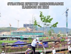 Strategi Efektif Mengurangi Karbon di IKN