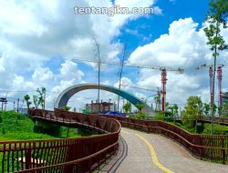 Pengembangan Infrastruktur Hijau untuk IKN