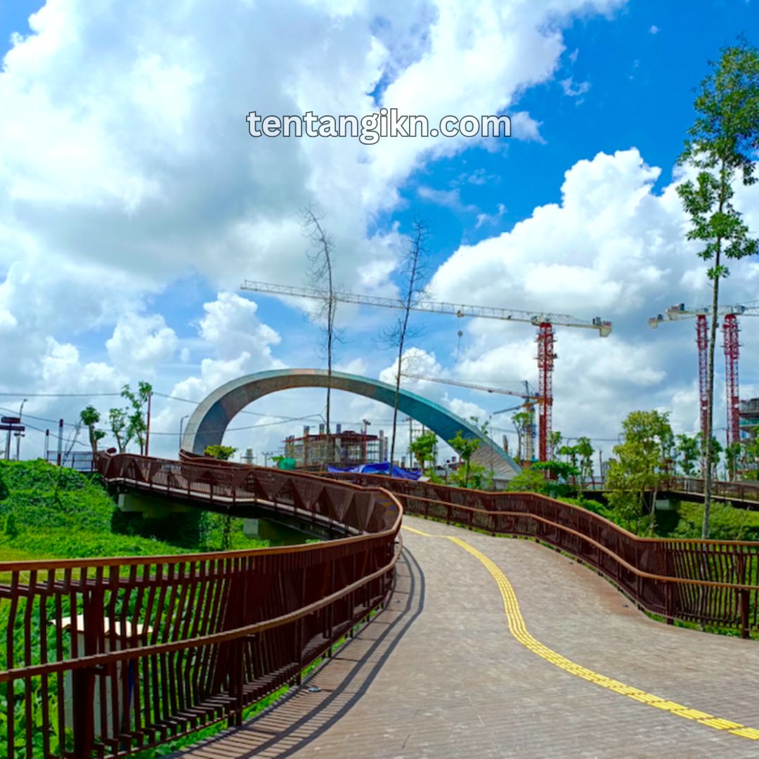 Pengembangan Infrastruktur Hijau untuk IKN