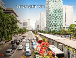 Bisnis Retail sebagai Peluang Emas di IKN