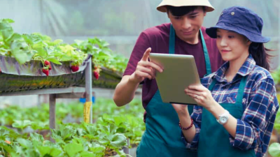 IKN Revolusi Sektor Agrikultur Indonesia Apa yang Diharapkan