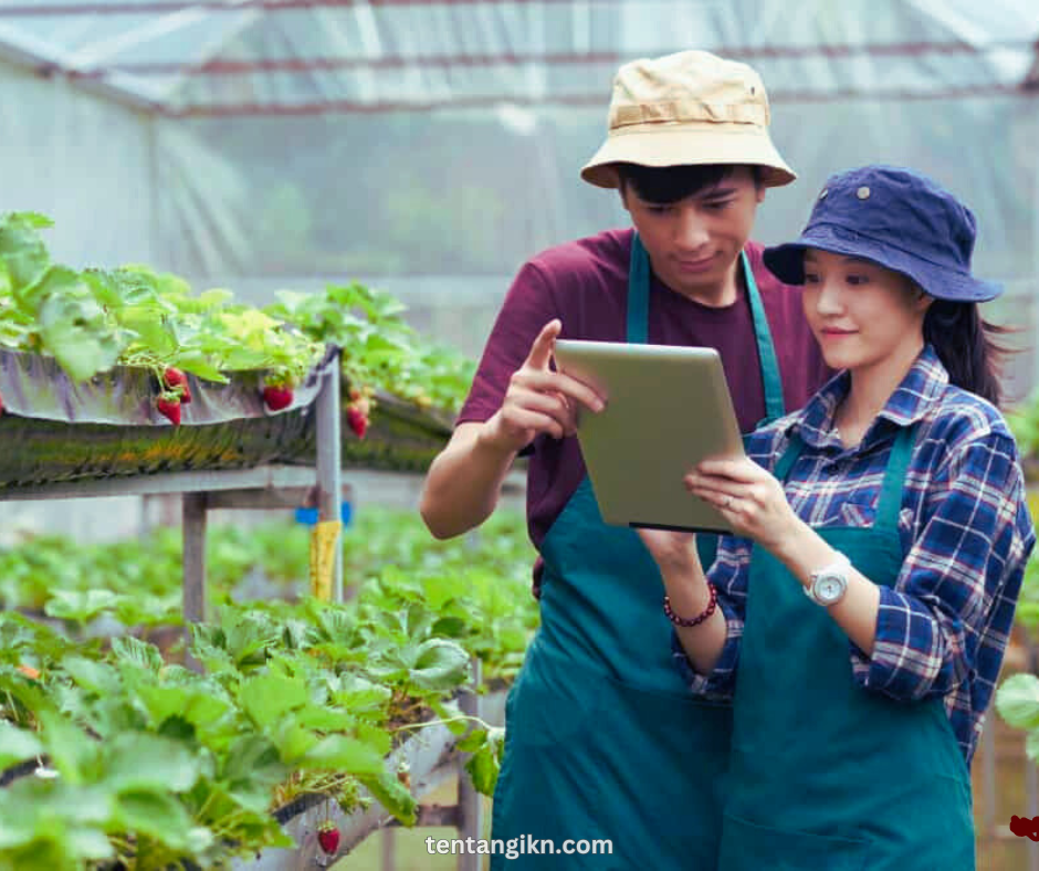 IKN Revolusi Sektor Agrikultur Indonesia Apa yang Diharapkan