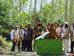 Konservasi Alam di IKN: Menjaga Ekosistem untuk Masa Depan