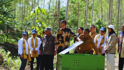 Konservasi Alam di IKN Menjaga Ekosistem untuk Masa Depan