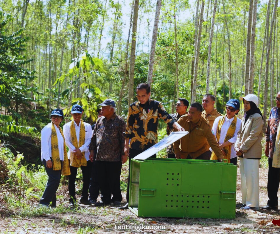 Konservasi Alam di IKN Menjaga Ekosistem untuk Masa Depan