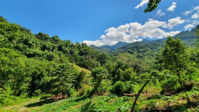 Titik Sumber Daya Alam IKN Potensi dan Tantangannya